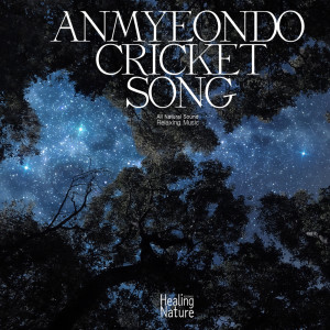 Listen to 하루종일 쉼없이 일한 당신을 위로하는 귀뚜라미소리 Crickets sound comforting you who worked tirelessly throughout the day song with lyrics from 힐링 네이쳐 Nature Sound Band