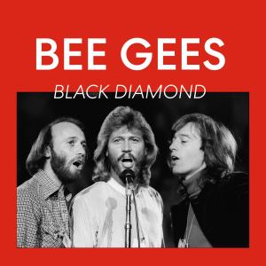 ดาวน์โหลดและฟังเพลง Marley Purt Drive พร้อมเนื้อเพลงจาก Bee Gees