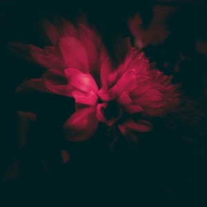 Zubi的專輯this chapter (Explicit)