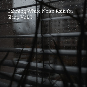 Sleep White Noise Sounds的專輯Calming White Noise Rain for Sleep Vol. 1