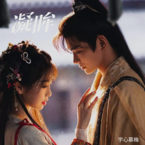 Listen to 凝眸 (cover: 王心凌) (完整版) song with lyrics from 宇心慕梅