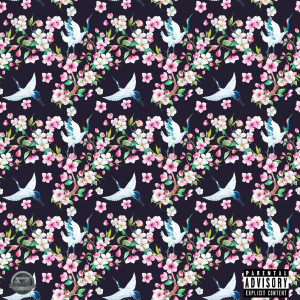 Listen to 22 Glad (Explicit) song with lyrics from BLAŻE