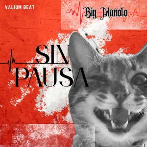 Big Mañolo的專輯SIN PAUSA (Explicit)