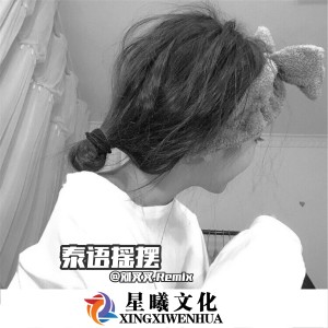 Listen to 黑人EDM (DJ版) song with lyrics from 李华能