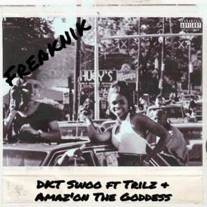 Album Freaknik (Explicit) from 