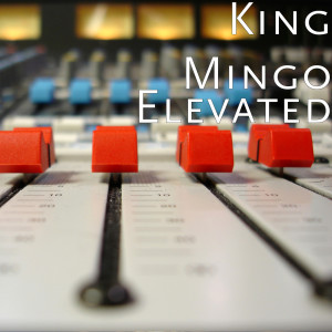 King Mingo的專輯Elevated (Explicit)