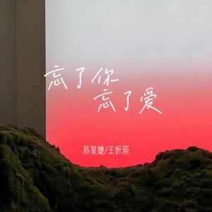 收聽王忻辰的忘了你忘了愛歌詞歌曲