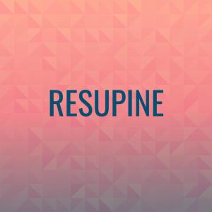 Various的专辑Resupine