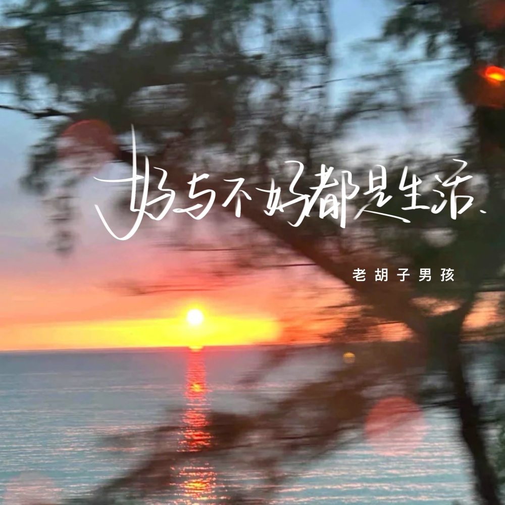 好与不好都是生活 (伴奏)
