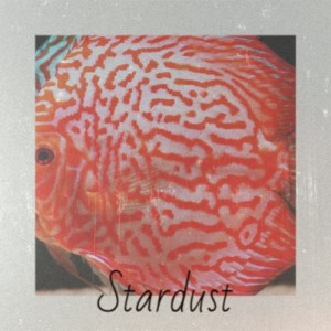 Hoagland Howard Carmichael的专辑Stardust