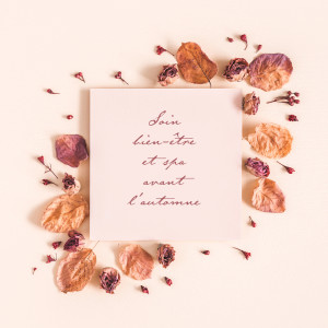 Album Soin bien-être et spa avant l'automne (Rêves apaisants, Flûte irlandaise relaxante et harpe céleste pour un massage bienfaisant) from Spa Musique Collection