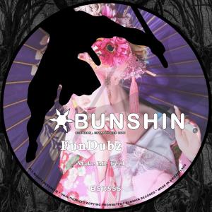 Listen to Make Me Feel song with lyrics from FunDubz