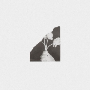 ดาวน์โหลดและฟังเพลง Day by Day (Insides Remix) พร้อมเนื้อเพลงจาก White Flowers