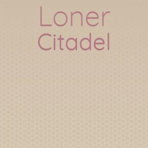 Listen to Loner Citadel song with lyrics from Arcy Sdet