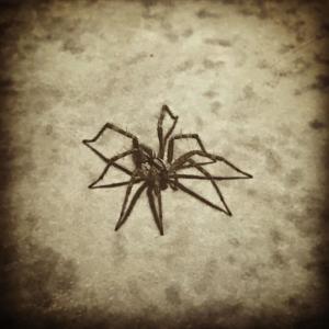 Dengarkan ARTHROPOD (Explicit) lagu dari Ignoredbymyself dengan lirik