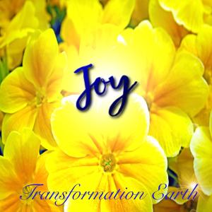 Listen to Joy (其他) song with lyrics from Transformation Earth