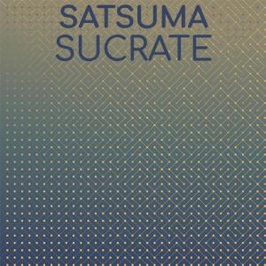Album Satsuma Sucrate from Various