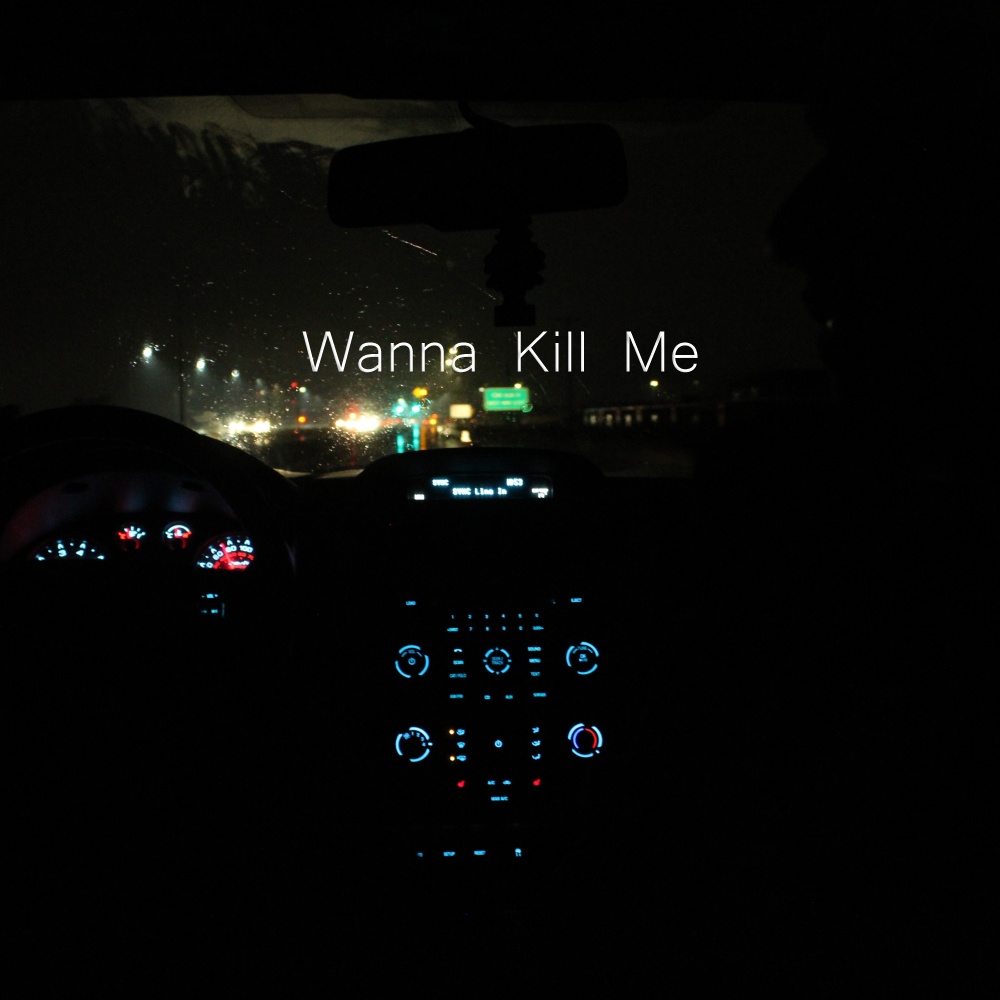 Wanna Kill Me (Explicit)