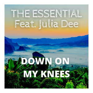 The Essential的專輯Down on My Knees