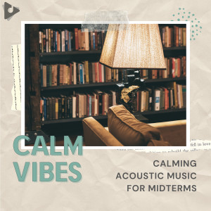 Calming Acoustic Music for Midterms