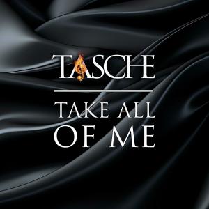 ดาวน์โหลดและฟังเพลง (Take) All Of Me พร้อมเนื้อเพลงจาก Tasche