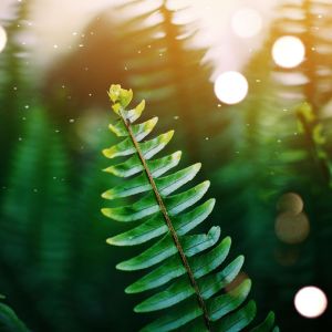 Dengarkan Relax in Waves lagu dari Rain Sounds dengan lirik
