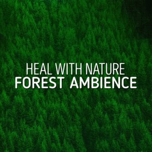 收聽Outside Broadcast Recordings的Meadow Song歌詞歌曲