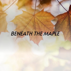 收聽Bill Anderson的Sometimes歌詞歌曲