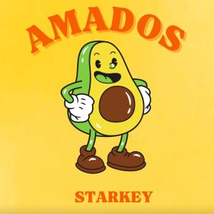 ดาวน์โหลดและฟังเพลง Amados พร้อมเนื้อเพลงจาก Starkey