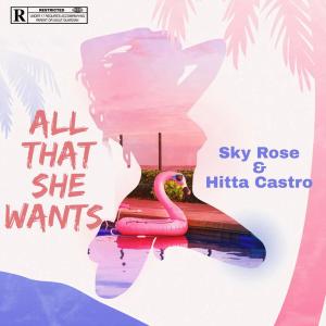 Hitta Castro的專輯All That She Wants (feat. Hitta Castro)