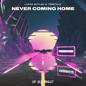 Tyler Sjostrom的专辑Never Coming Home