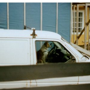 Album vit bíða at breyðið skal poppa from Dania O. Tausen