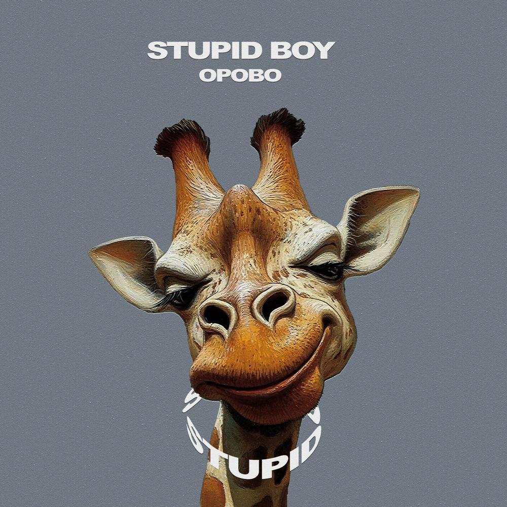 Stupid Boy