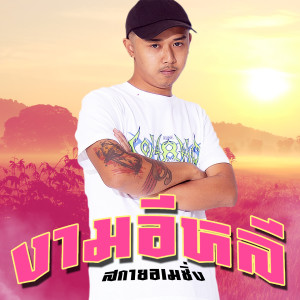 Album งามอีหลี from สกายอเมซิ่ง