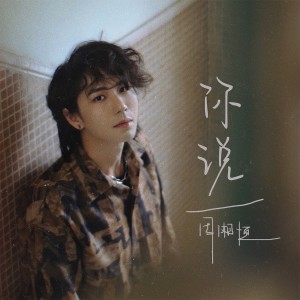 Listen to 你说 song with lyrics from 周湘恒