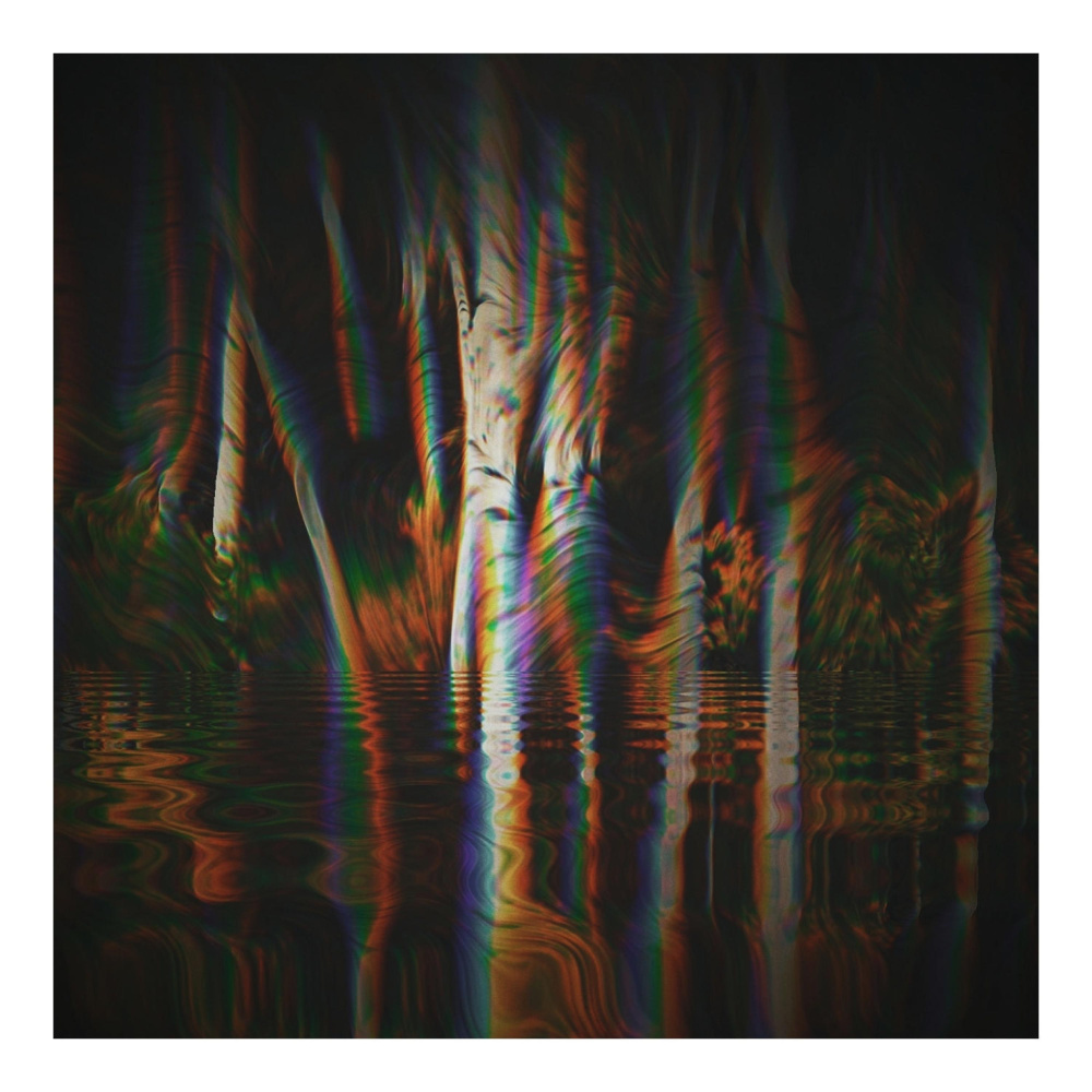 Lost in the Woods