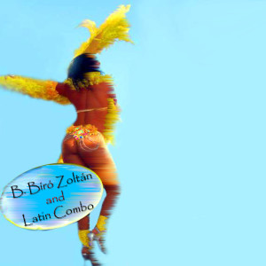 Album Csiklandoz a szamba from B. Bíró Zoltán