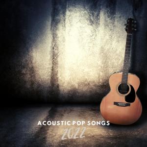 Various Artists的專輯Acoustic Pop Songs 2022
