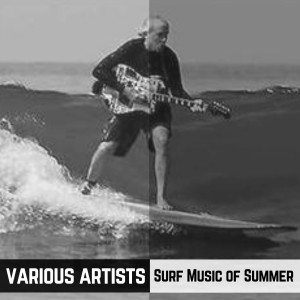 ดาวน์โหลดและฟังเพลง Surfin' Bird พร้อมเนื้อเพลงจาก The Trashmen