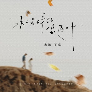 Album 承诺碎的像落叶 from 王卓