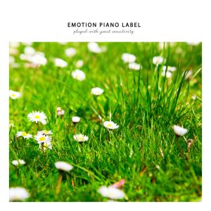 Listen to If you can meet again song with lyrics from Korea Various Artists