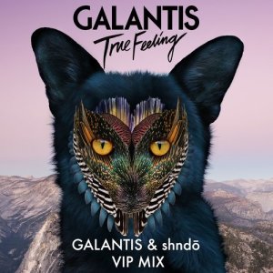 ดาวน์โหลดและฟังเพลง True Feeling (Galantis & shndō VIP Mix) พร้อมเนื้อเพลงจาก Galantis