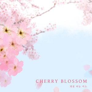 อัลบัม 벚꽃 하늘 미소 Cherry Blossom ศิลปิน 달러스뮤