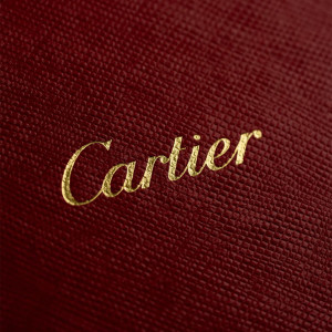 Album Cartier from TEKSIDR