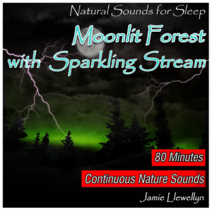 Jamie Llewellyn的專輯Natural Sounds for Sleep: Moonlit Forest with Sparkling Stream