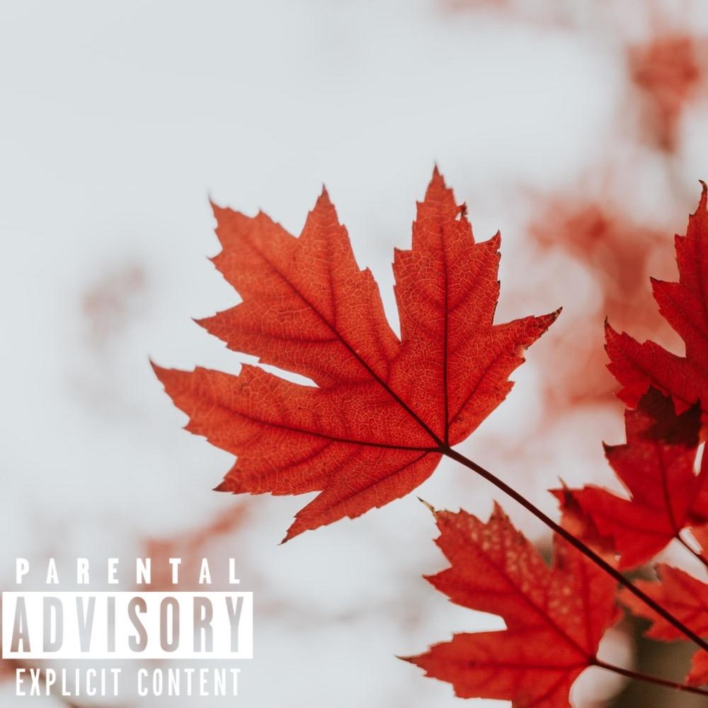 Canada (feat. Ssjslickk) (Explicit)