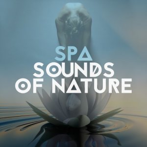 The Calming Sounds of Nature的專輯Spa Sounds of Nature