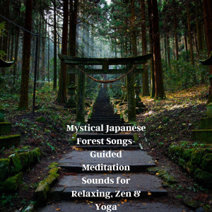 อัลบัม Mystical Japanese Forest Songs- Guided Meditation Sounds for Relaxing, Zen & Yoga ศิลปิน Natural Sounds