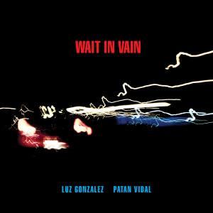 Patán Vidal的專輯Wait In Vain