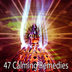 Meditation Spa的专辑47 Calming Remedies